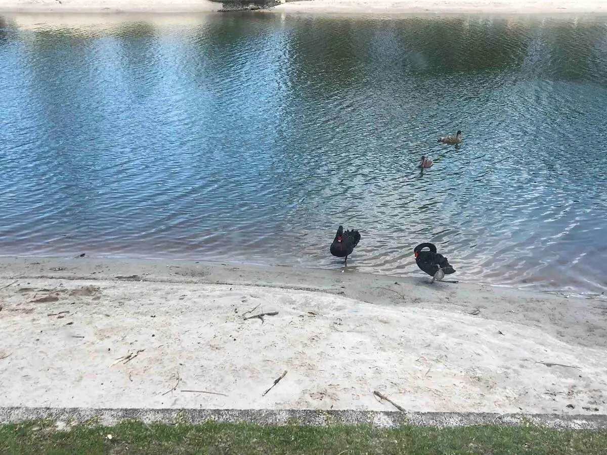 Hébergement de vacances Waterfront 3 Bedroom House In Family Friendly Resort Gold Coast Australie